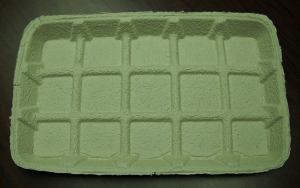 Moulded Baby Chick Disposable Feeder Trays