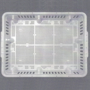 Plastic Chick Box - New Design